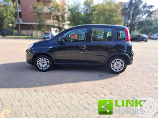 FIAT Panda usata, con Controllo trazione