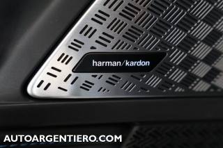 BMW X2 usata, con Climatizzatore automatico, 2 zone