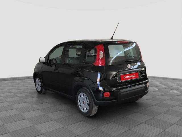 FIAT Panda usata 2