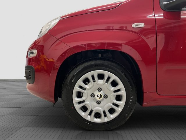 FIAT Pandina usata 8