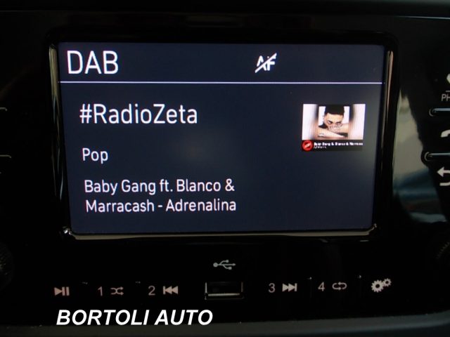 FIAT Panda usata, con Cronologia tagliandi