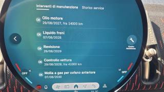 MINI Countryman usata, con Controllo vocale