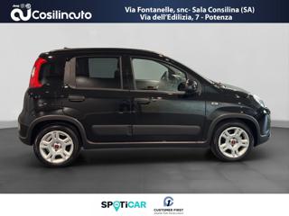 FIAT Panda usata, con Antifurto