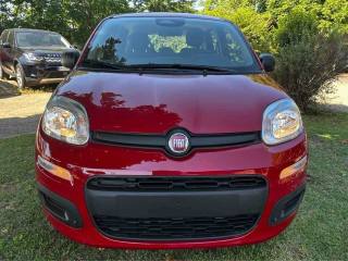 FIAT Panda usata, con Alzacristalli elettrici
