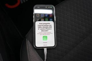 OPEL Grandland X usata 55