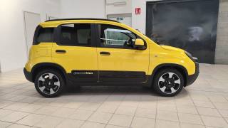 FIAT Panda usata, con Antifurto