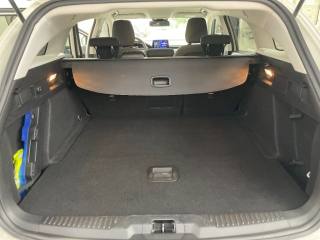 FORD Focus usata, con Cruise Control