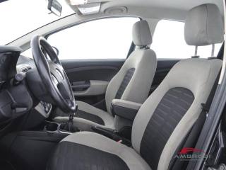 FIAT Punto usata 7