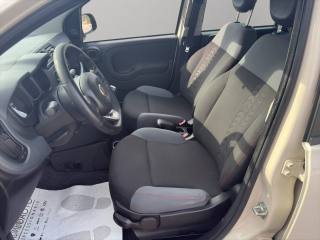 FIAT Panda usata 9