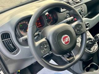 FIAT Panda usata 17