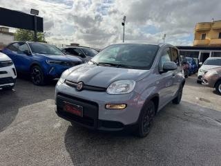 FIAT Panda usata, con Alzacristalli elettrici