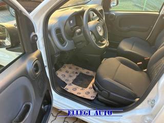 FIAT Panda usata, con Climatizzatore