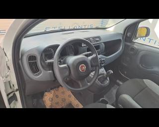 FIAT New Panda usata, con ESP