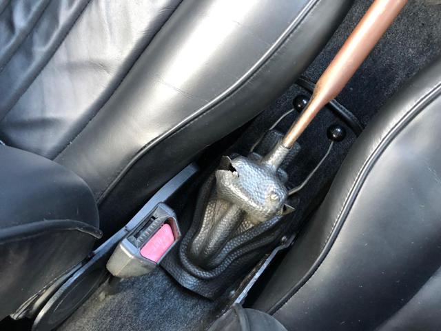 VOLKSWAGEN Maggiolone usata 14