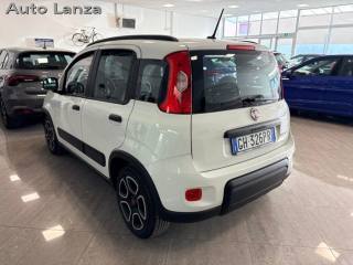 FIAT Panda usata, con Airbag Passeggero