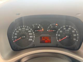 FIAT Panda usata 37