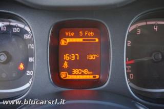 FIAT Panda usata 14