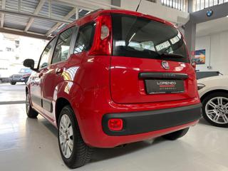 FIAT Panda usata, con Volante multifunzione