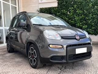 FIAT Panda usata 1