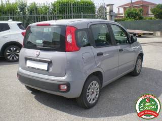 FIAT Panda usata, con Controllo trazione