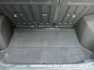 FORD EcoSport usata, con Fendinebbia