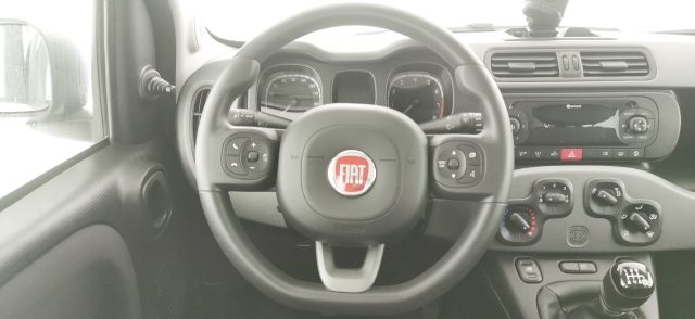 FIAT Panda usata 38