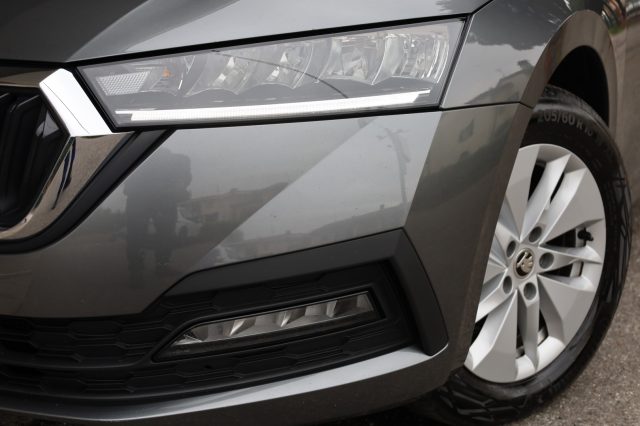 SKODA Octavia usata 163