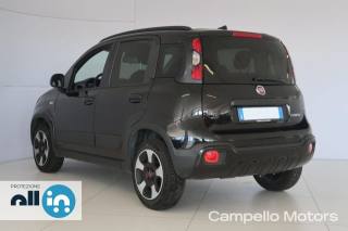 FIAT Panda usata 2