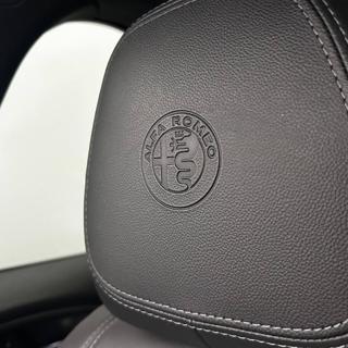 ALFA ROMEO Stelvio usata, con Cronologia tagliandi