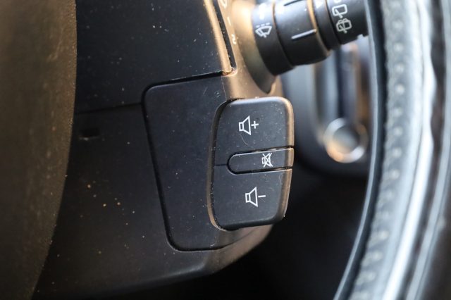 RENAULT Scenic usata, con Ruotino