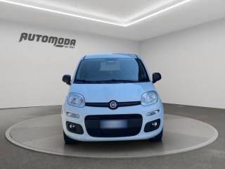 FIAT Panda usata, con Airbag