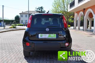 FIAT Panda usata, con Alzacristalli elettrici