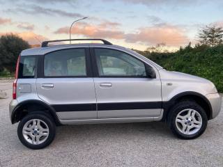 FIAT Panda usata, con Cronologia tagliandi