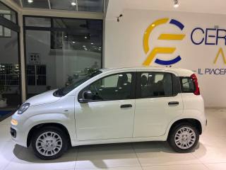 FIAT Panda usata, con Antifurto