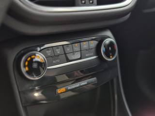 FORD Puma usata, con Cronologia tagliandi