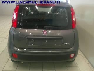 FIAT Panda usata, con Controllo trazione