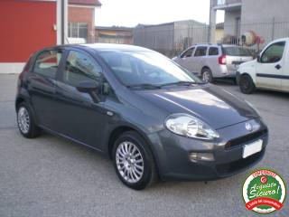 FIAT Punto usata, con Airbag