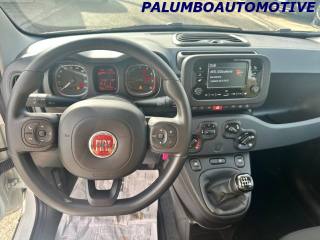 FIAT Panda usata, con Immobilizzatore elettronico