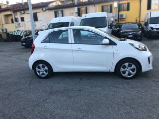 KIA Picanto usata, con Controllo trazione