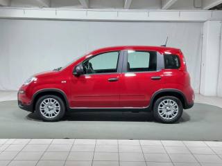 FIAT Panda usata, con Airbag