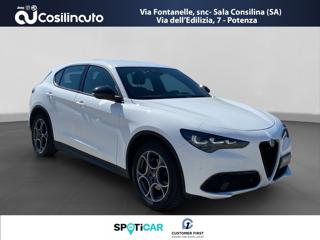 ALFA ROMEO Stelvio usata, con Boardcomputer