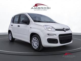 FIAT Panda usata 1