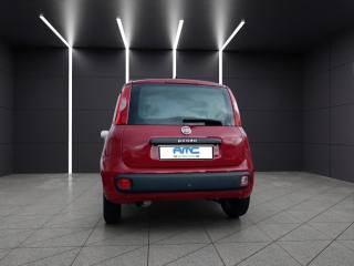FIAT Panda usata, con Autoradio