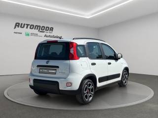 FIAT Panda usata, con Antifurto