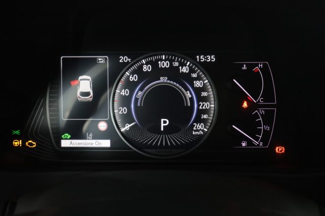 LEXUS Other usata 6
