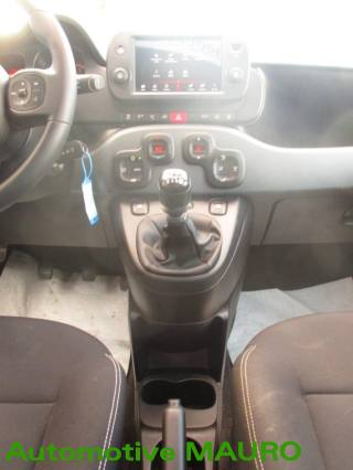 FIAT Panda Cross usata, con Airbag testa