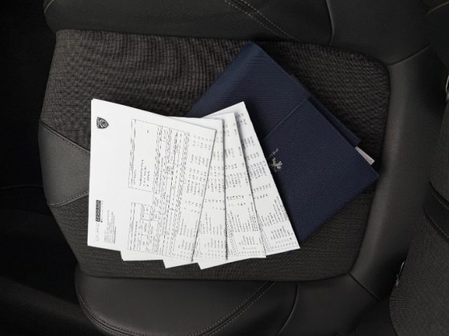 PEUGEOT 3008 usata, con Fendinebbia