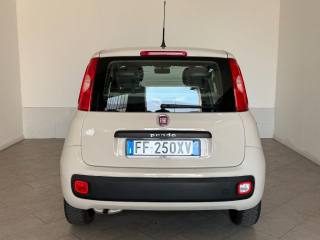 FIAT Panda usata 5