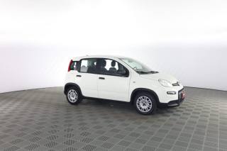 FIAT Panda usata 1