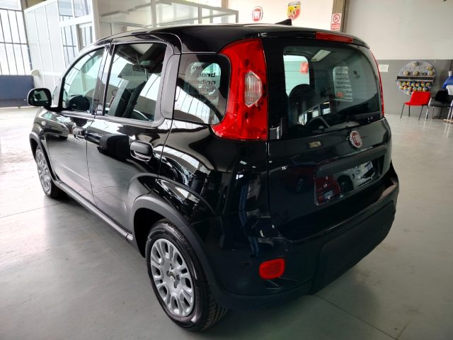 FIAT Panda usata, con Airbag testa